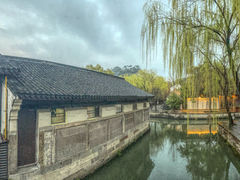 -鲁镇