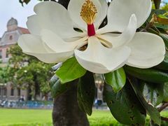 -上海交通大学董浩云航运博物馆