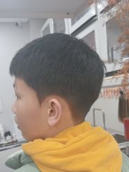 -YESIDO椰岛造型