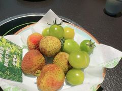 -季季山·云南野生菌火锅(上海首店)