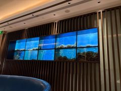 -珍宝海鲜JUMBO Seafood(尚嘉店)