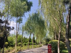 -西安汉城湖景区