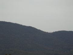 -南京维景国际大酒店(南京博物院店)