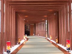 -重庆南山海昌汤都