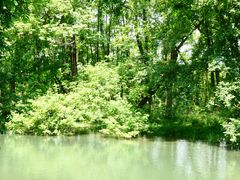 -西溪南古村落