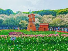 -苏州上方山国家森林公园