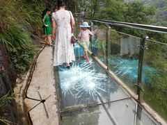 -九龙江国家森林公园