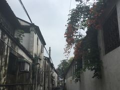 -原怡园面馆(拙政园店)