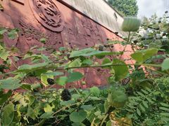 -广州神农草堂中医药博物馆