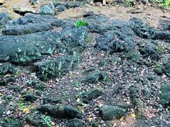 -海口火山口国家地质公园