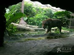 美景-河川生态园