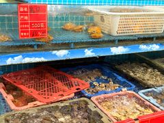-坛南湾阿强农家乐.海鲜大排档老字号(福州地标美食店)