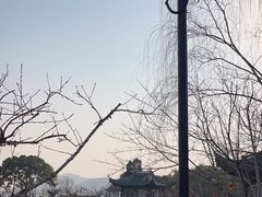 -无锡蠡湖国家湿地公园-蠡园