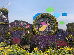 -荷兰花海