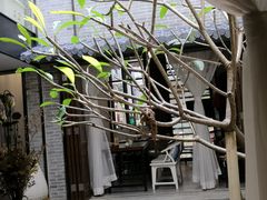 -归觅·西关小姐人文艺术馆(荔枝湾店)