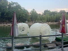 -莲湖公园