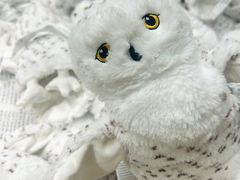 -宜家家居(高新商场店)