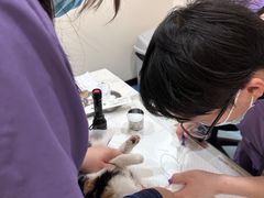 -萌兽医馆·犬猫专科·眼科中心·宠物医院(朝阳门分院)