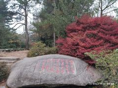 -庐山风景区花径公园