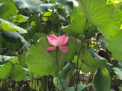 -韶山毛泽东同志故居