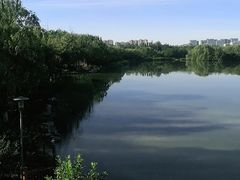 -大兴滨河森林公园