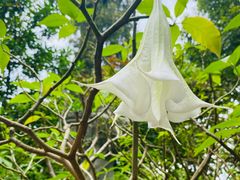 -广州神农草堂中医药博物馆