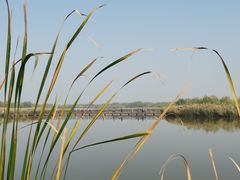 -西青郊野公园