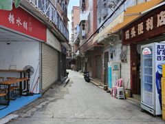 -长洲岛