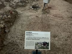 -南越王博物院(王宫展区)