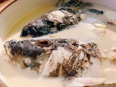 -全乐鱼馆·淳牌有机鱼直营店