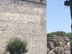 -洛阳市隋唐城遗址植物园