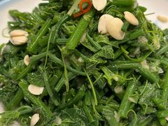 杏仁丝瓜尖-老山东·山东菜(鲁菜名店)