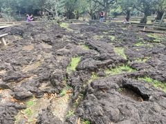 -海口火山口国家地质公园