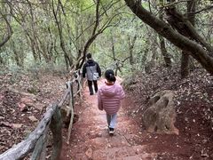 -普者黑风景区-青龙山