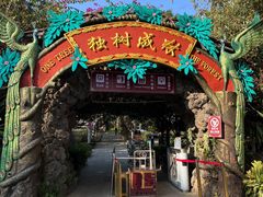 -瑞丽独树成林风景区