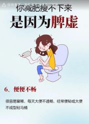 -Fundi张玉珊修身堂·indiba·BTL科技瘦身