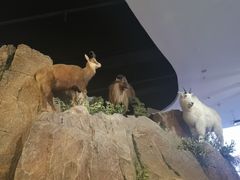 -陕西自然博物馆