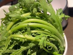 -同仁四季椰子鸡(罗湖国贸店)