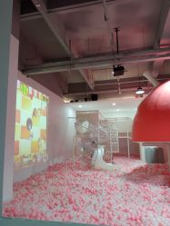 -宝燕乐园(春申店)