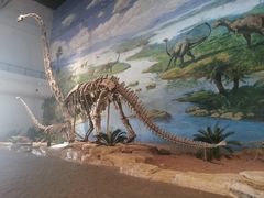 -自贡恐龙博物馆