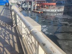 -海河游船(古文化街码头)