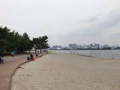 -台场海滨公园船码头