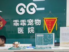 -乖乖宠物医院·猫科·急重症中心(车站北路分院)