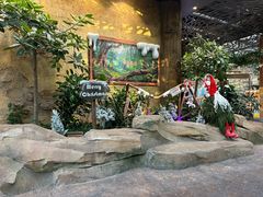 -杭州开元森泊度假乐园