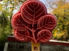 -香山公园