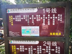 -上海海湾国家森林公园