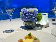 -亚特兰蒂斯•OSSIANO奥西亚诺海底餐厅