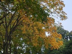 -浙江大学(玉泉校区)