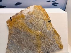 -天津自然博物馆