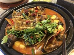 甲鱼锅-洪湘记川湘·甲鱼馆(四海凯悦美食广场店)
